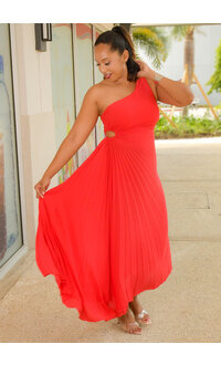RITIM- Long Solid Steam Pleat Dress