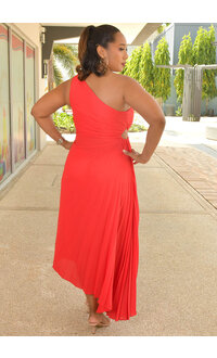 RITIM- Long Solid Steam Pleat Dress