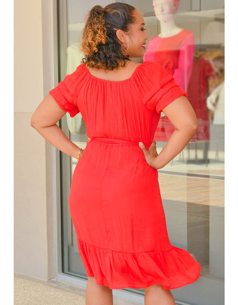 GENIA- Solid Puff Sleeve Dress with Frill Hem