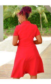 Shelby & Palmer RORAH- Button Down Dress with Collar