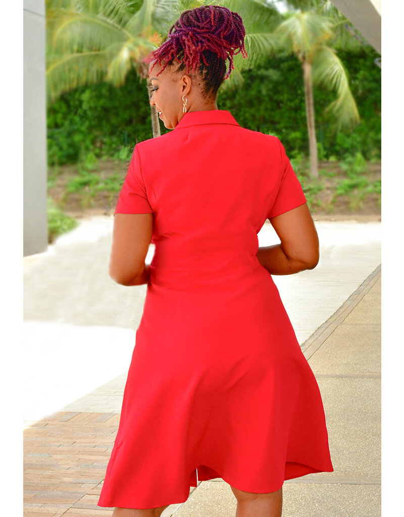 Shelby & Palmer RORAH- Button Down Dress with Collar