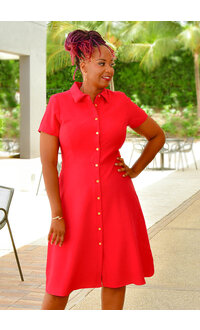 Shelby & Palmer RORAH- Button Down Dress with Collar