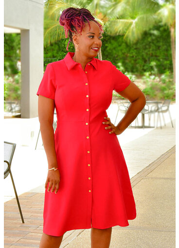 Shelby & Palmer RORAH- Button Down Dress with Collar