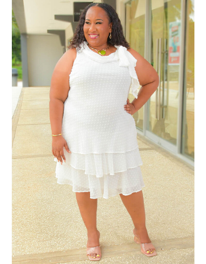 Signature FENIX- Plus Size Layered Hem Cowl Neck Dress