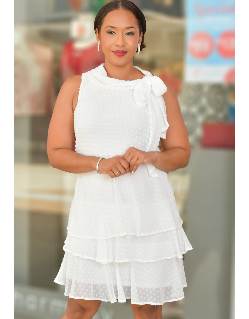 Signature FENIX- Layered Cowl Neck Dress