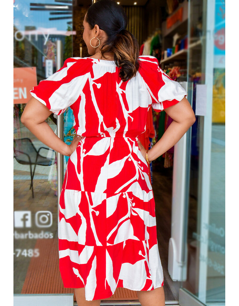 MLLE Gabrielle KYNLEE-Printed Elastic Waist Dress with Puff Sleeves
