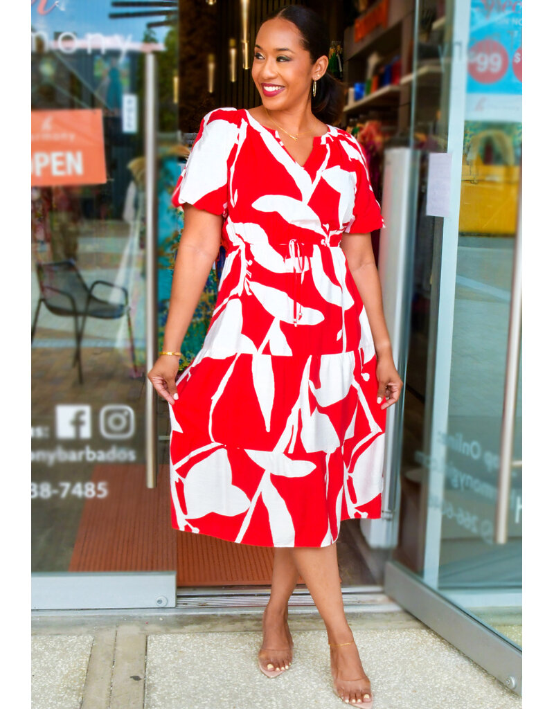 MLLE Gabrielle KYNLEE-Printed Elastic Waist Dress with Puff Sleeves
