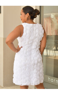 GLAMOUR MATTHEW- Solid Armhole Round Neck Dress