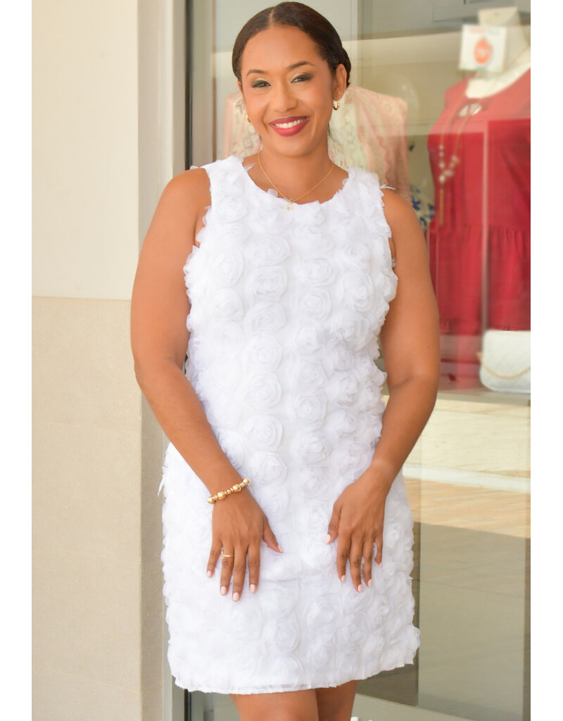 GLAMOUR MATTHEW- Solid Armhole Round Neck Dress