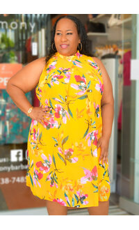 FLAVIA- Plus Size Mock Neck Dress with Overlay