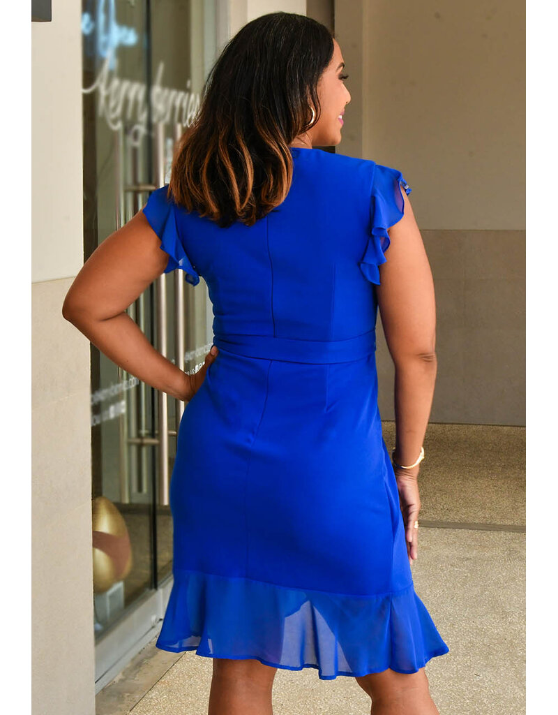 Shelby & Palmer RETTI- Solid Dress with Chiffon Arms