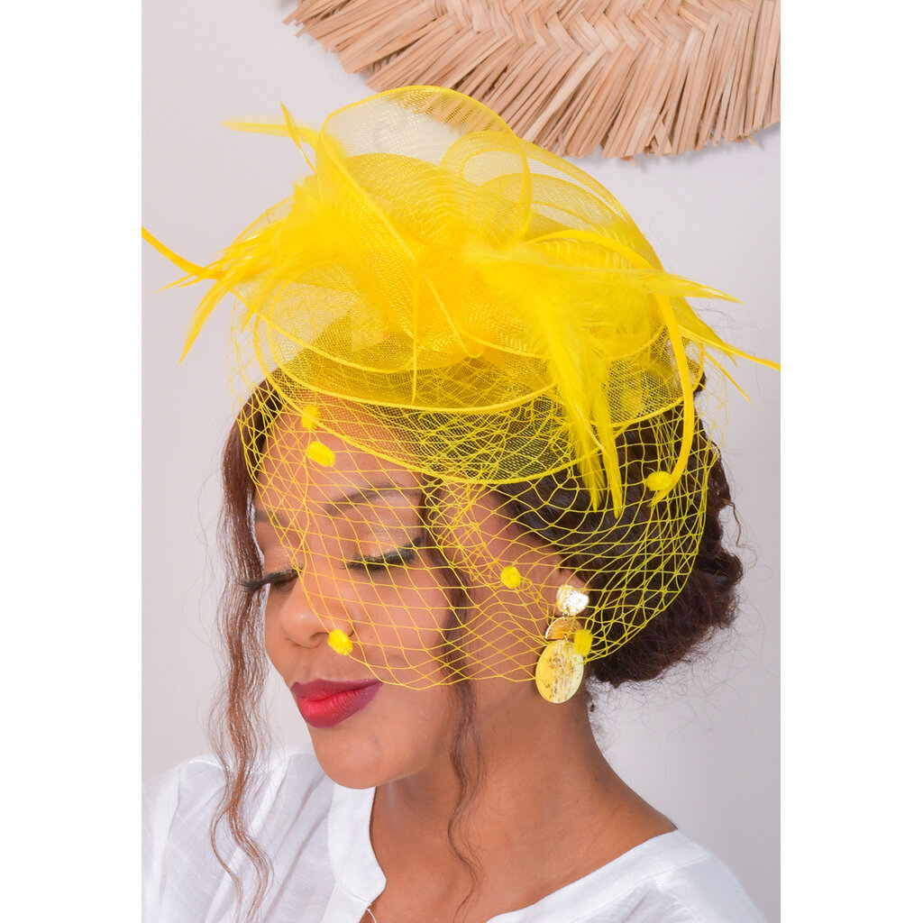 Fascinator with Feather and Dotted Veil
