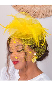 Fascinator with Feather and Dotted Veil