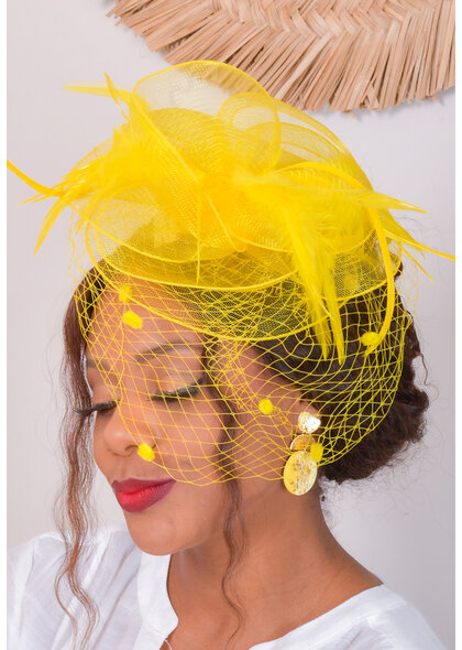 Fascinator with Feather and Dotted Veil