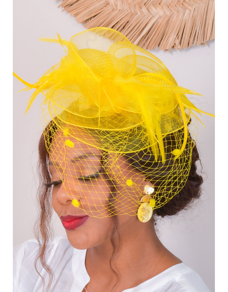 Fascinator with Feather and Dotted Veil