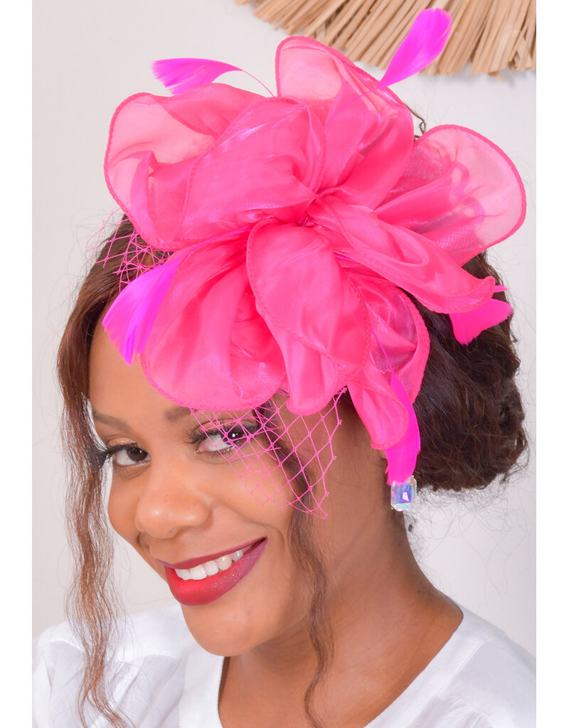 Chiffon Fascinator with Feathers and Mesh
