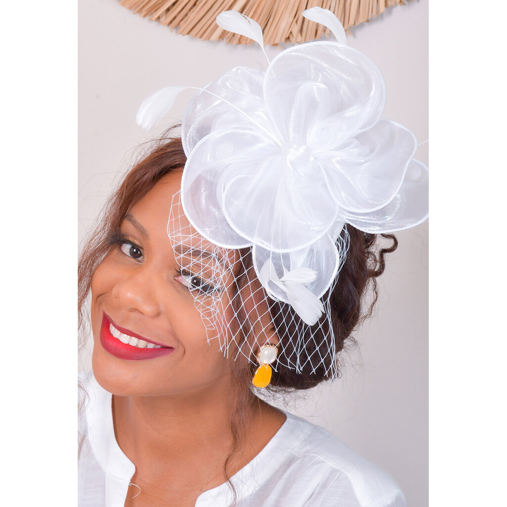 Chiffon Fascinator with Feathers and Mesh