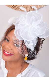 Chiffon Fascinator with Feathers and Mesh
