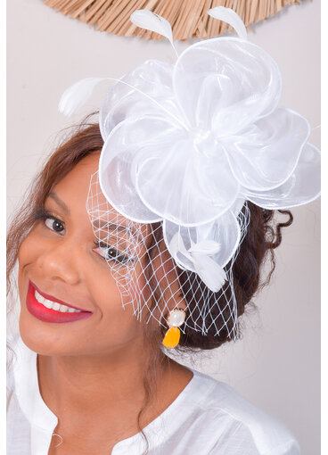 Chiffon Fascinator with Feathers and Mesh