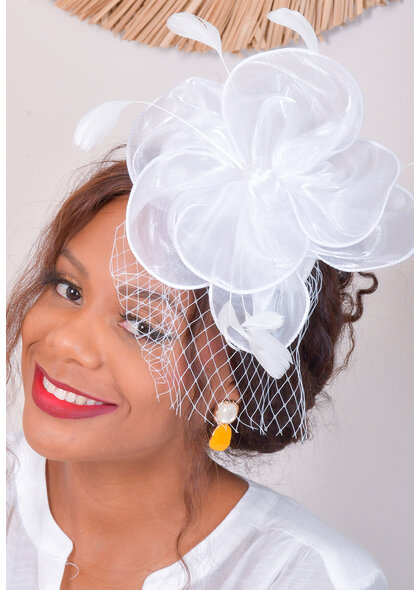Chiffon Fascinator with Feathers and Mesh