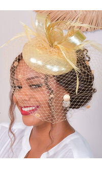 Mini Crown Fascinator with Veil