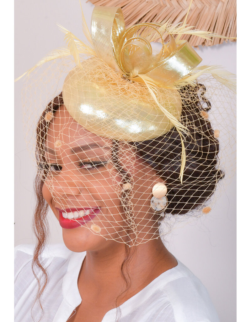 Mini Crown Fascinator with Veil