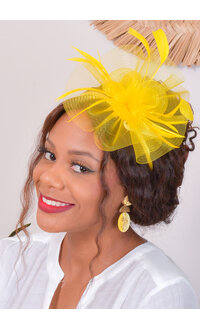 Small Mesh Fascinator with 2 Roses