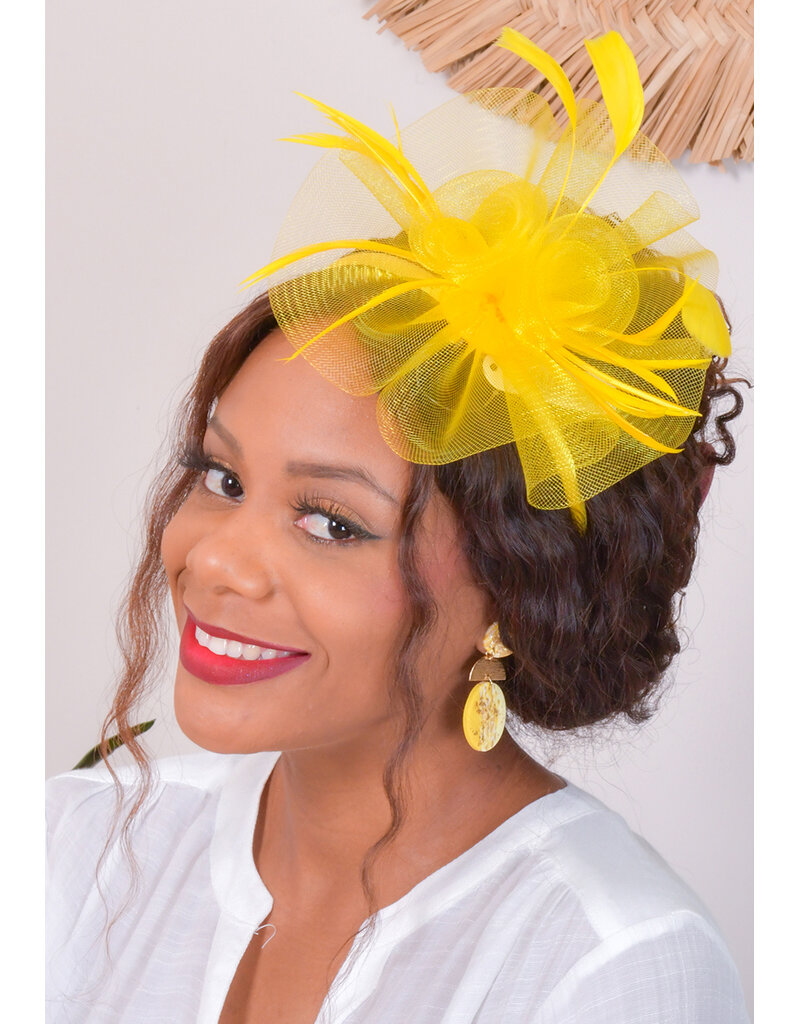 Small Mesh Fascinator with 2 Roses