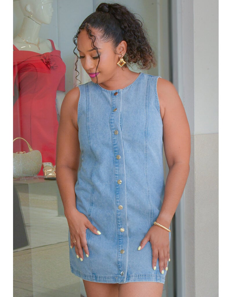 THE WORKSHOP WORM- Armhole Denim Botton Down Dress