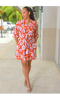 SPIN KADILIA- Floral Balloon Sleeve Dress with Band