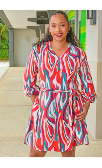 SPIN KADILIA- Printed Dress with Balloon Sleeves