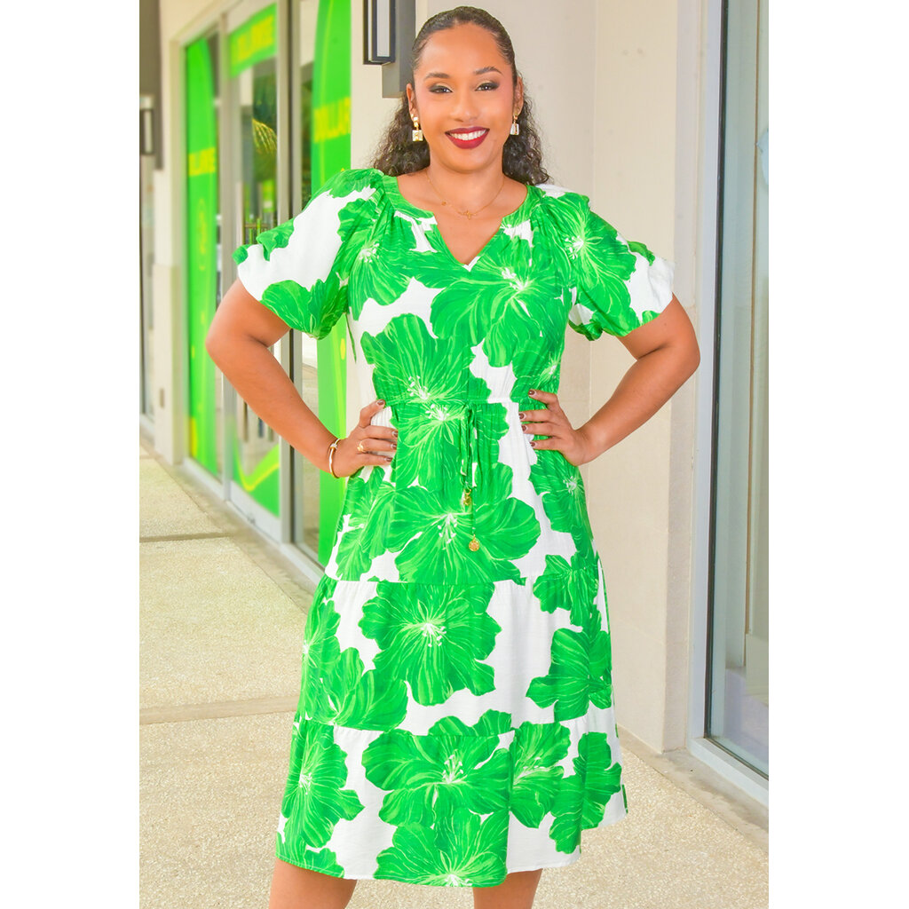 KYNLEE- Printed V-Neck Elastic Waist Puff Sleeve Dress