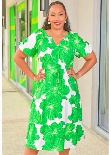 MLLE Gabrielle KYNLEE- Printed V-Neck Elastic Waist Puff Sleeve Dress