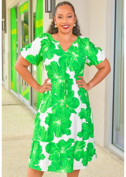 MLLE Gabrielle KYNLEE- Printed V-Neck Elastic Waist Puff Sleeve Dress