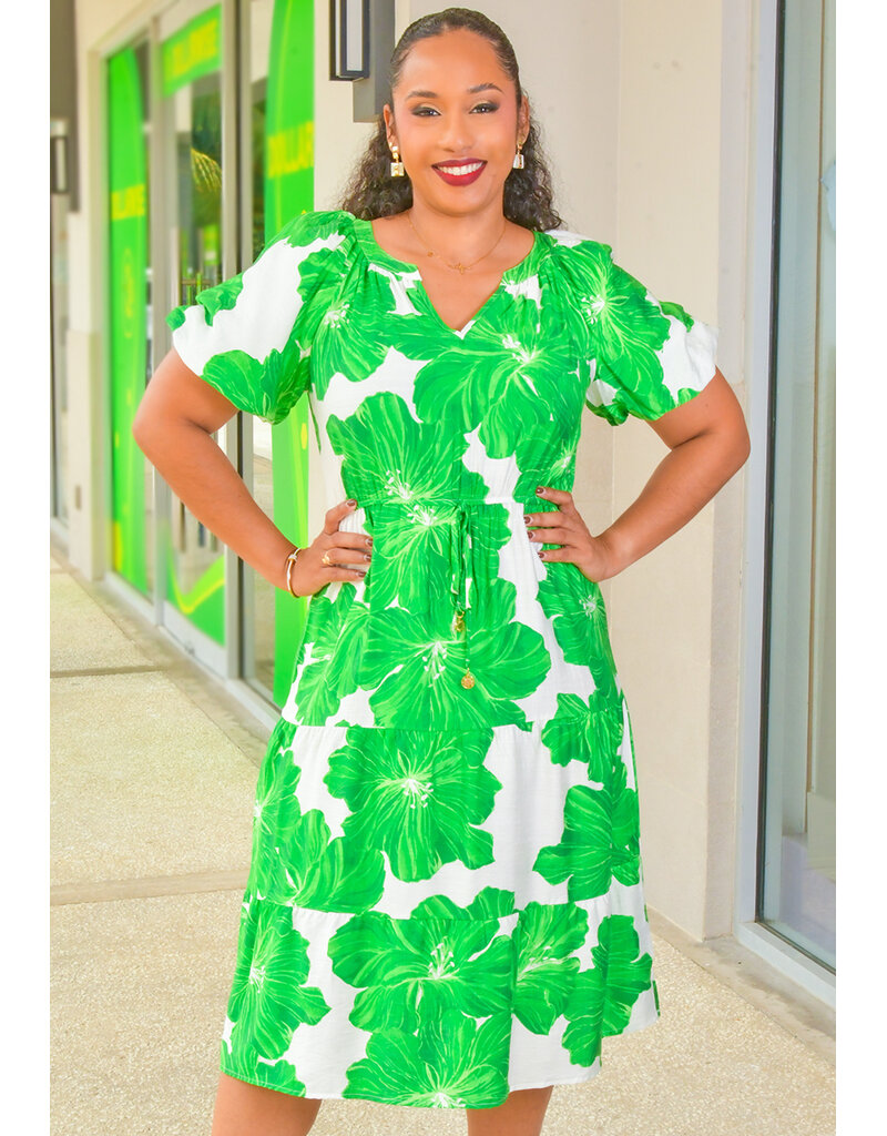 MLLE Gabrielle KYNLEE- Printed V-Neck Elastic Waist Puff Sleeve Dress