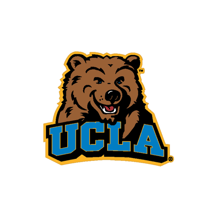 R&D Specialty UCLA Bear Mascot Heat Seal Applique 3'