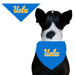 ucla dog jersey