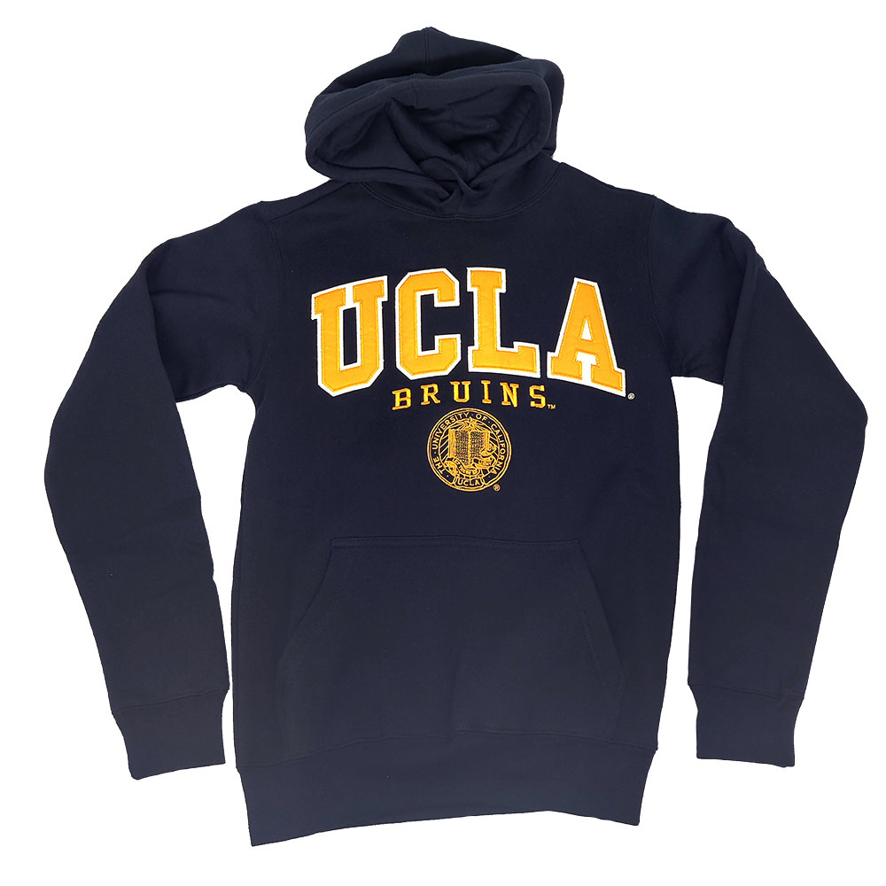 ucla hoodie champion