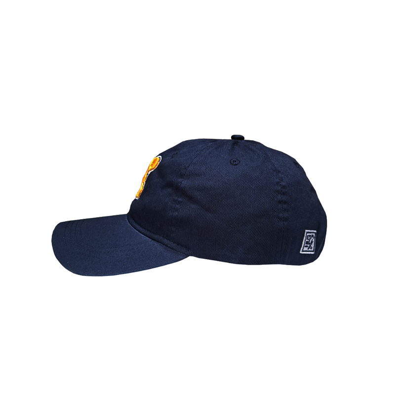The Game 1919 UCLA Bear Pigmnet Dyed Royal Hat