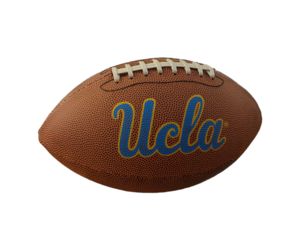 jardine-associates-ucla-script