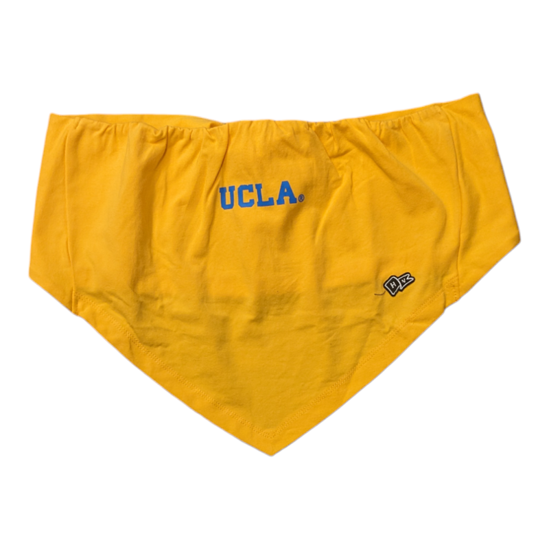 HYPE AND VICE UCLA Arch Bandana Top Gold