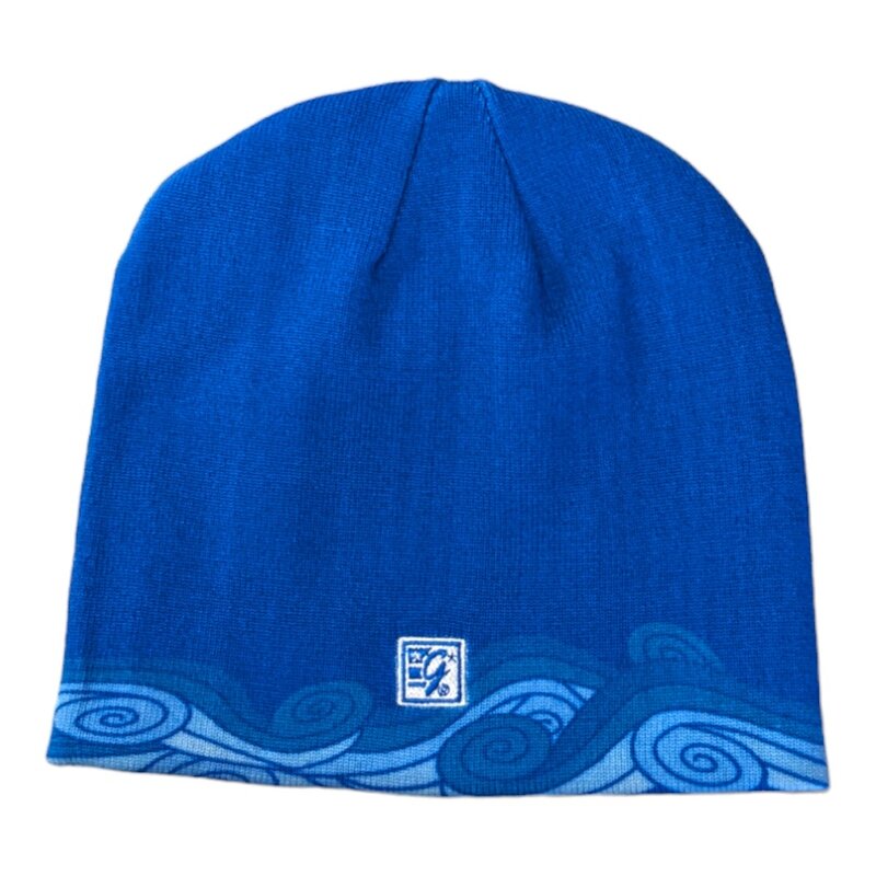 The Game UCLA Script Beanie Blue