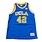 Retro Brand UCLA Blue Basketball Jersey #42 Love