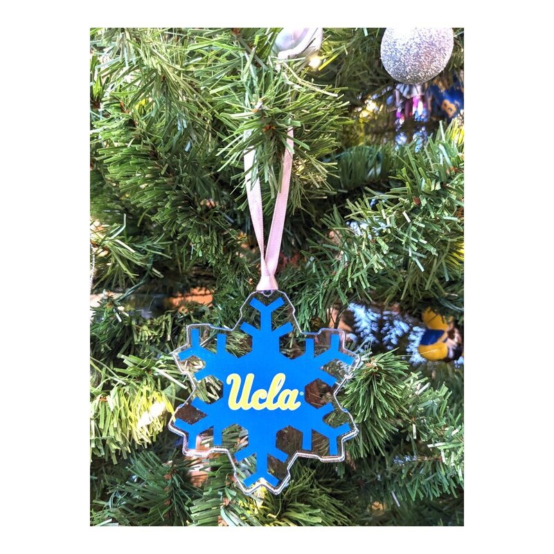 Color Shock UCLA Snow Flakes