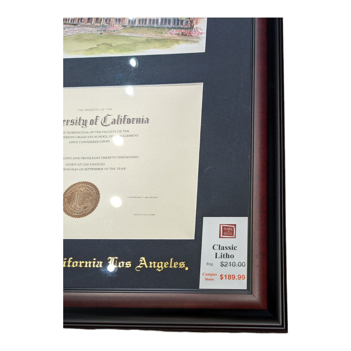 Framing Success UCLA Litho Classic Moulding Diploma Frame