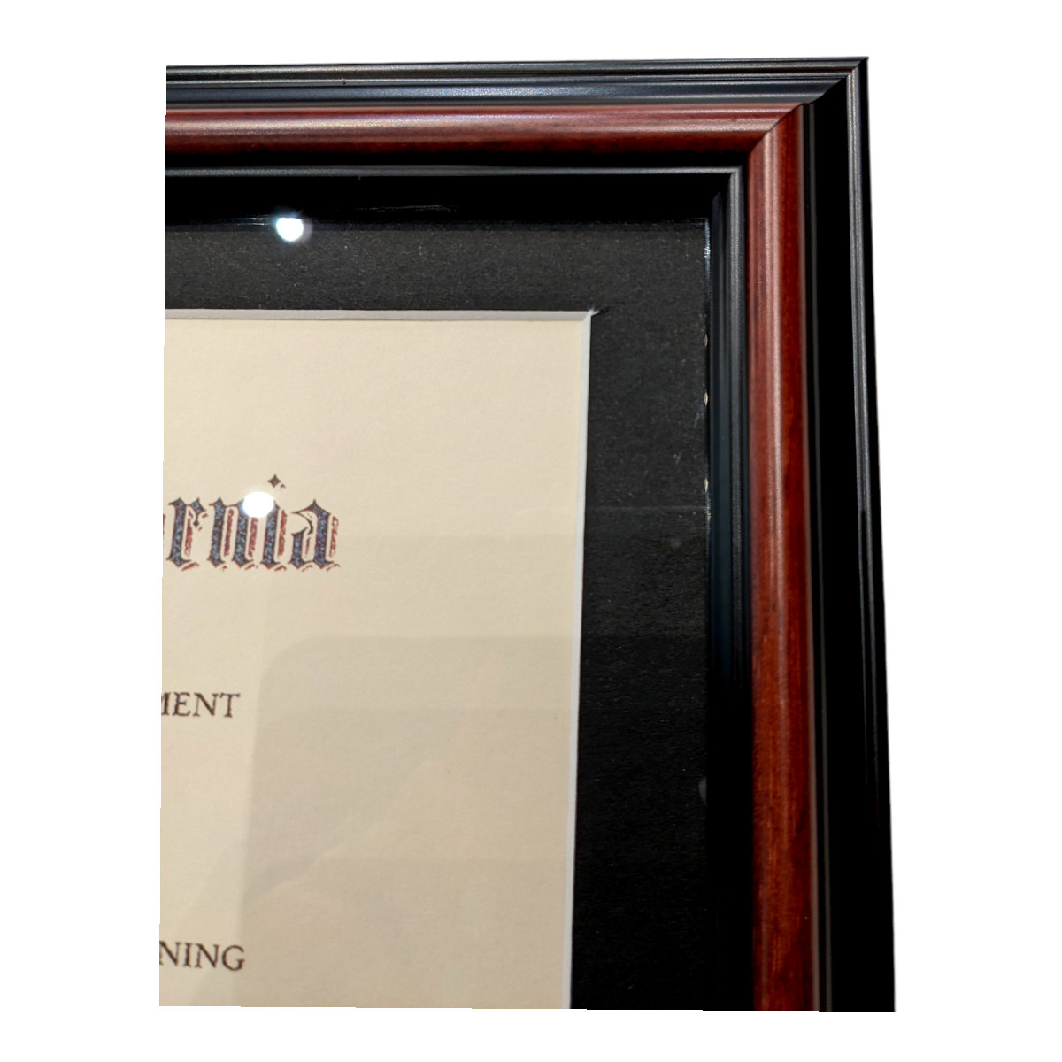 Framing Success UCLA Athens Moulding Diploma Frame
