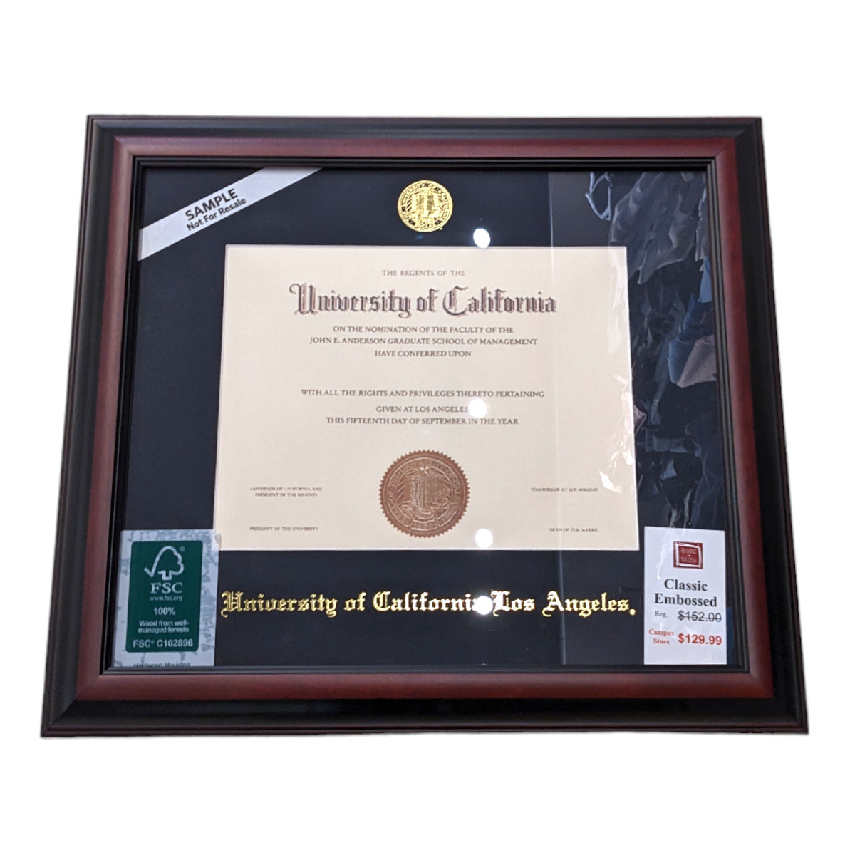 Framing Success UCLA Classic Embossed Diploma Frame