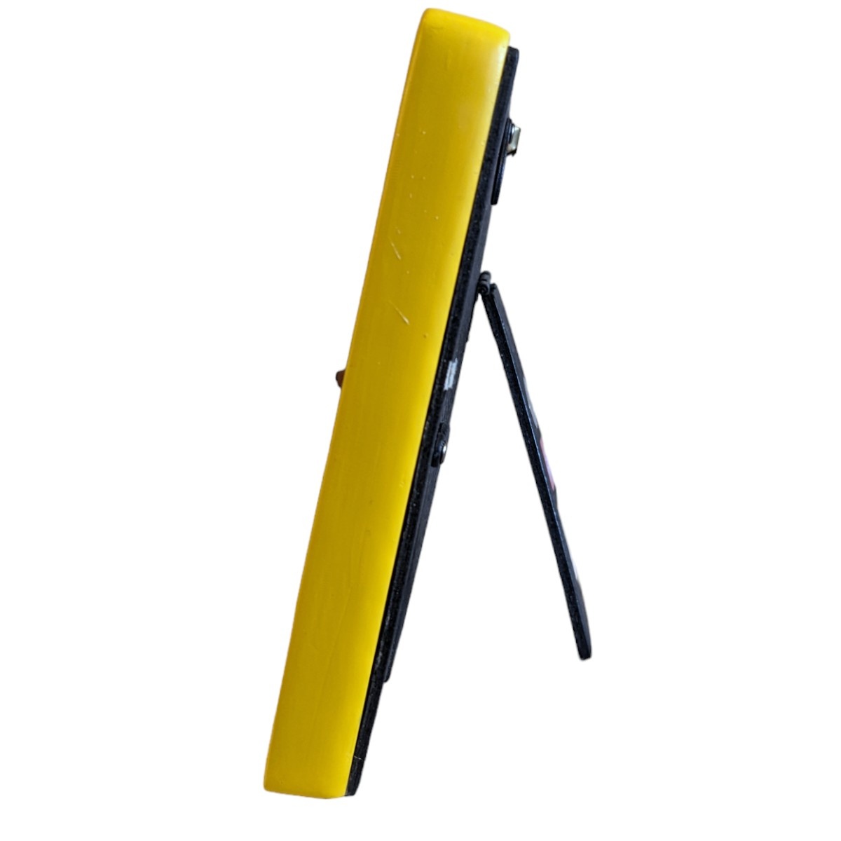 Tale of the UCLA Mascot Picture Frame 4X6