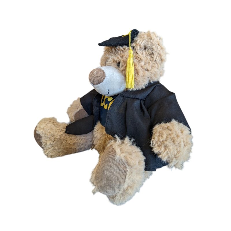 Mascot Factory UCLA Aly & Abby Bear w/Tee & Grad Outfit
