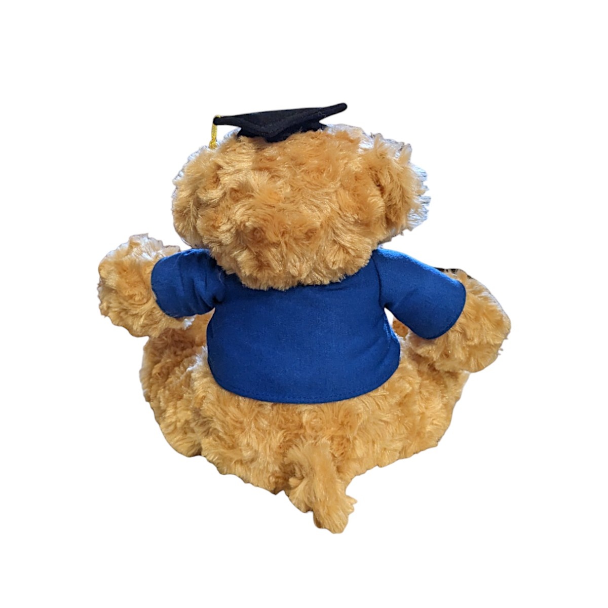 Mascot Factory UCLA Bruin Tee Fred Cap